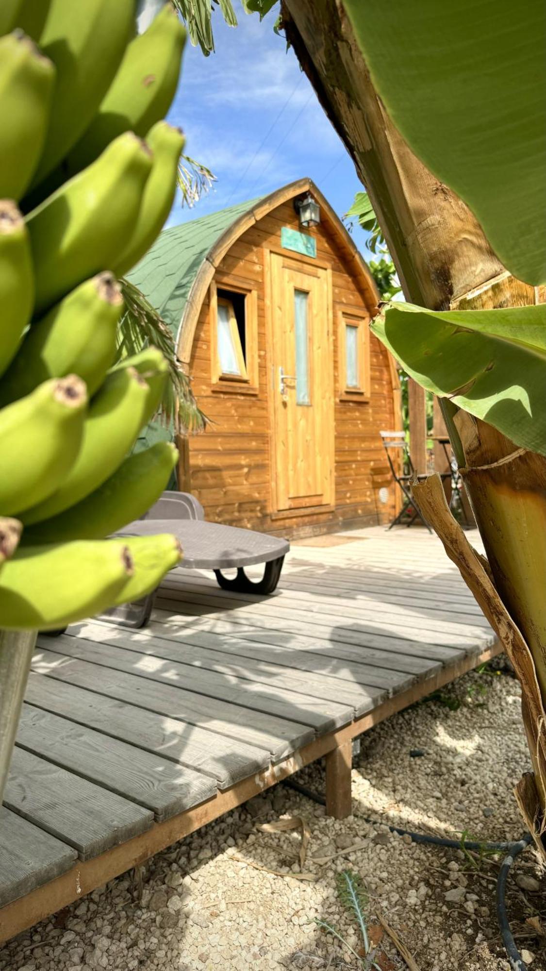 Lykke Suite Spa Sauna Piscina Y Jardin Buzanada Exteriör bild