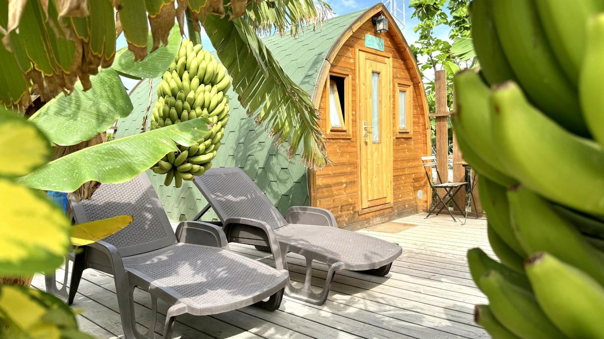 Lykke Suite Spa Sauna Piscina Y Jardin Buzanada Exteriör bild
